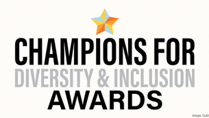 These are the people, companies pushing DEI forward in St. Louis