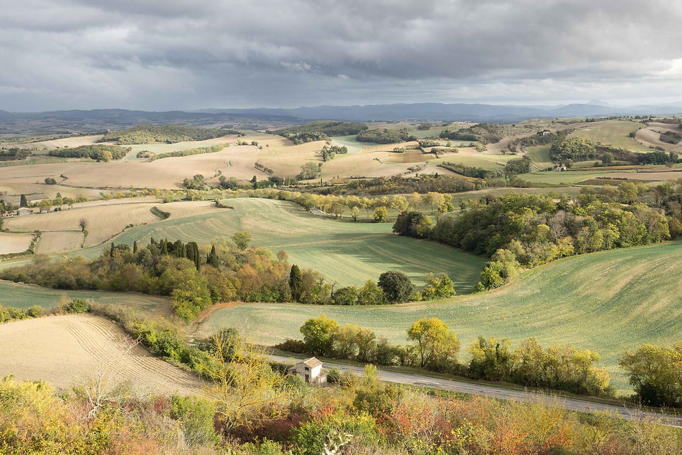 Landscapes Other