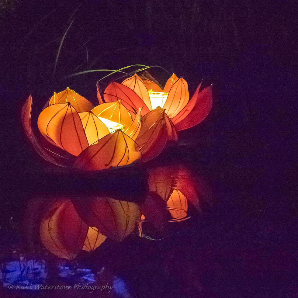 Lotus flower lamps 0019
