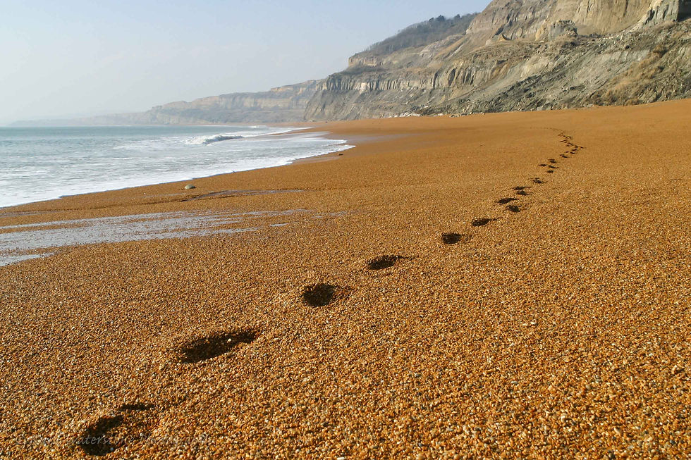 Landscapes UK