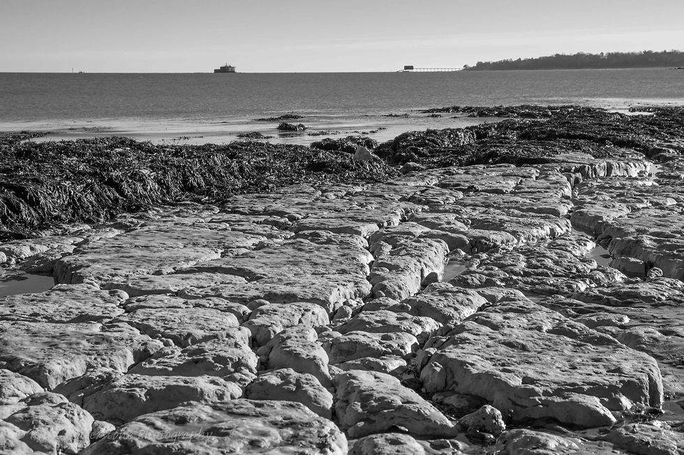 Low tide Bembridge