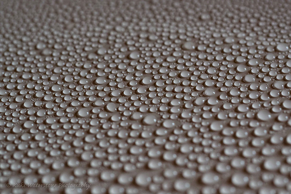 Condensation drops 0006