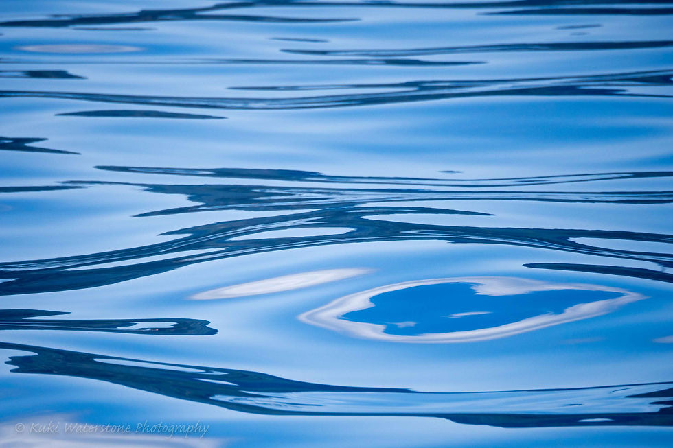 Reflections on the Med 0355