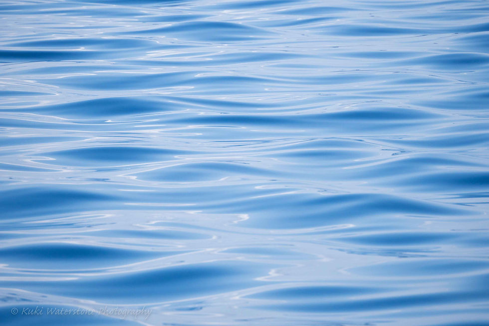 Reflections on the Med 0372
