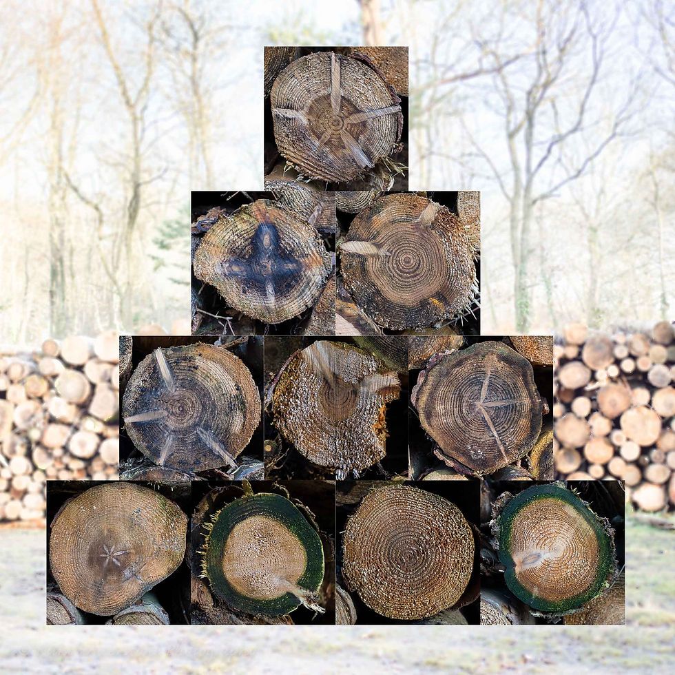Log pyramid