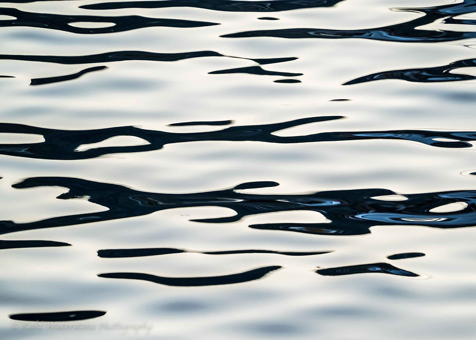 Reflections, black and white 0564