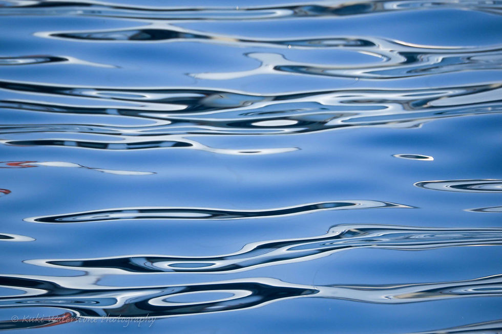 Reflections, blue and black 0776