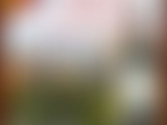 高コスパワインが続々入荷しております。