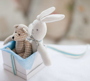 Stuffed Animals