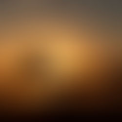 A revelação das sombras é o presente da luz