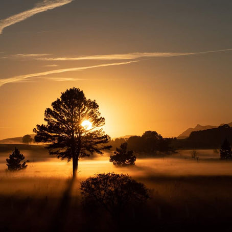A revelação das sombras é o presente da luz