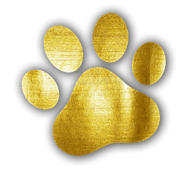 Hunnit Hustles website paw 2.png