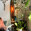 Miniature : Lampe de lecture