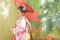 photo 08