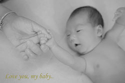 littletree new born37