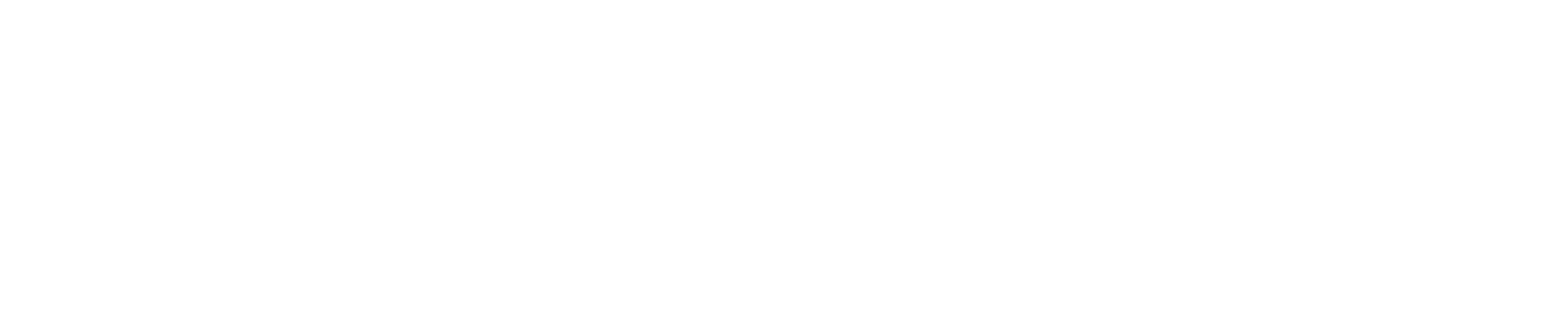 Sonder WORDMARK (White).png