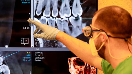 Dr. Duke examining Radiography