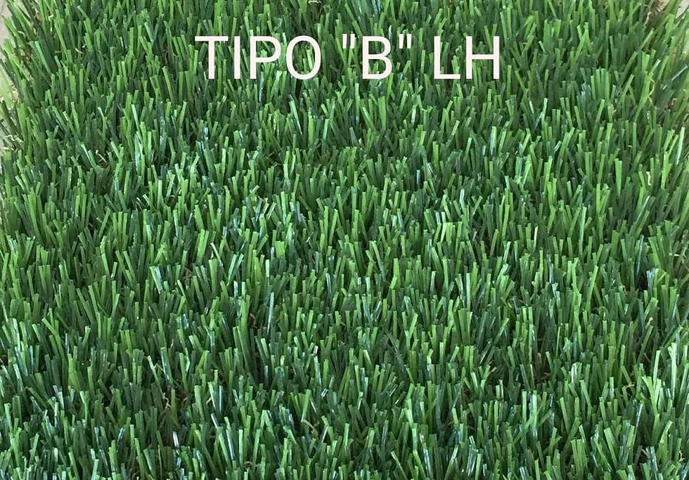 PASTO "B" LH