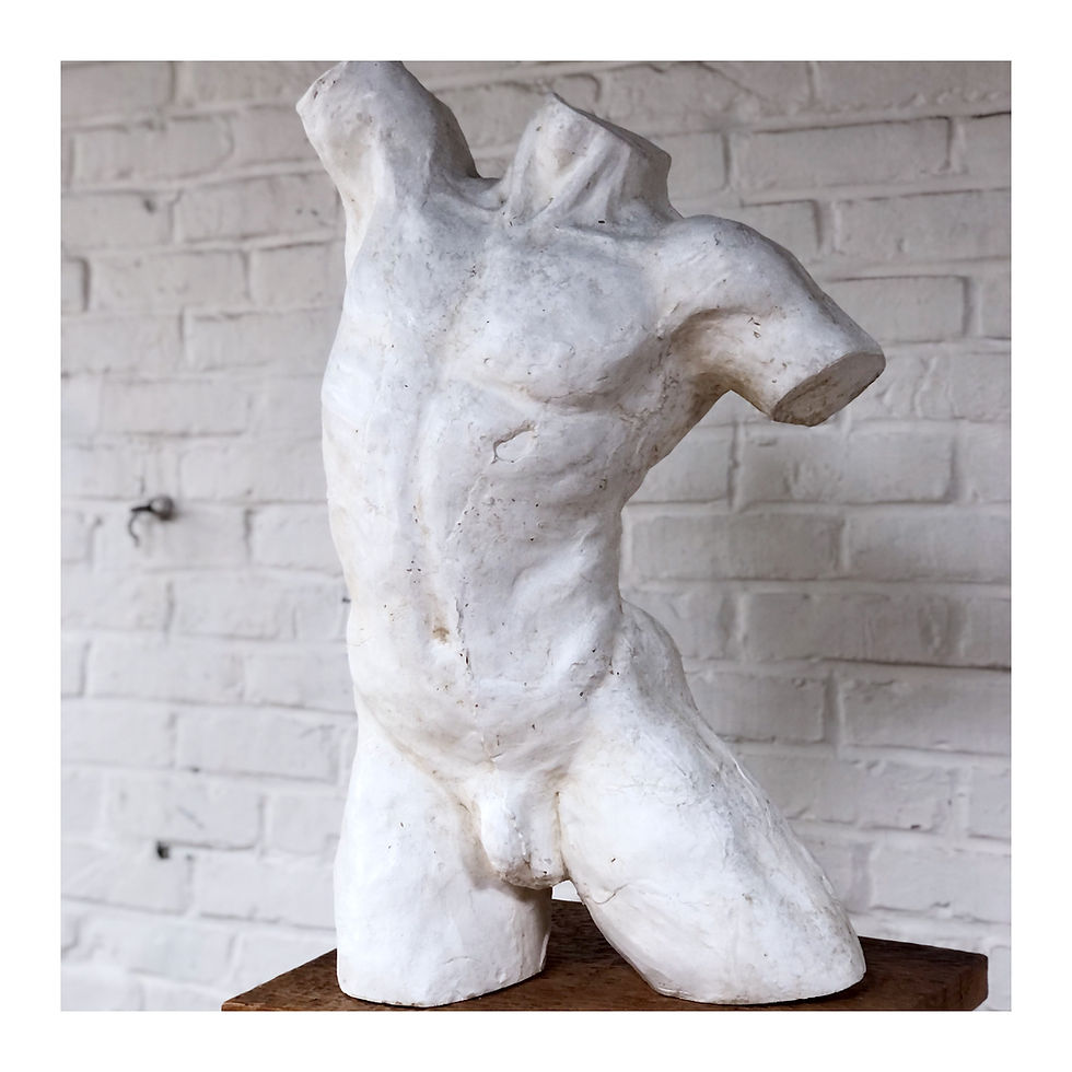 Thumbnail: Plaster Male Torso Sculpture