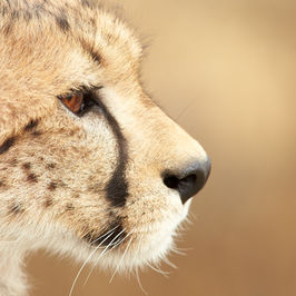 Hotels-Models14015 2_edit_new 2.jpg