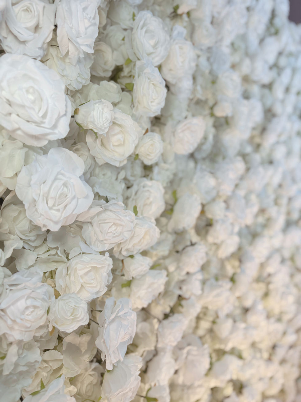 IMG_4758 - Edited - Edited.jpg