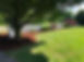 IMG_8364.jpeg