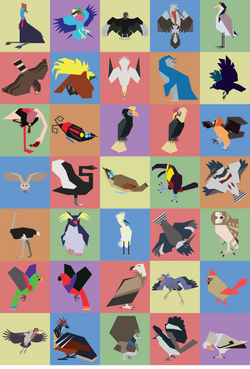 Birds and Birds and Birds