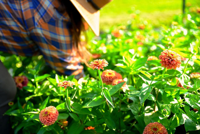You're Invited to Our Slow Flowers Dinner on the Farm