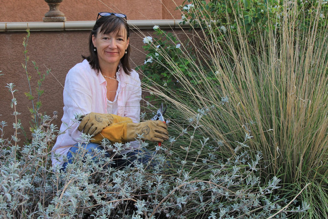 Q&A with Capstone Speaker Jennifer Jewell