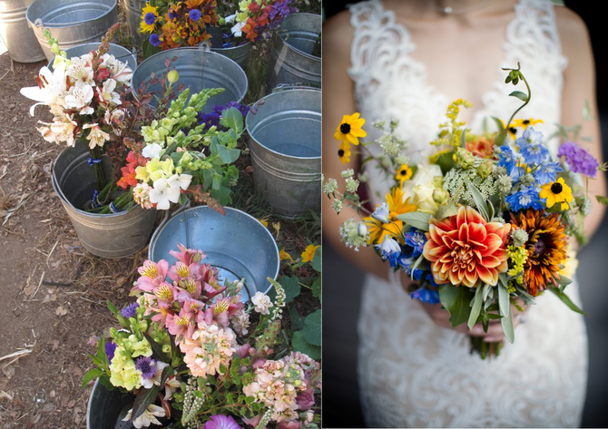 Meet Our Sustainable Farming x Floral Design Panel