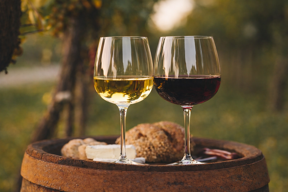 Vinhos Monocasta e de Lote.