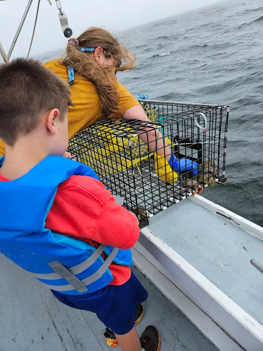 Two young kids pull a lobster out a trap onboard the Out and About lobster boat experience in Belfast, Maine