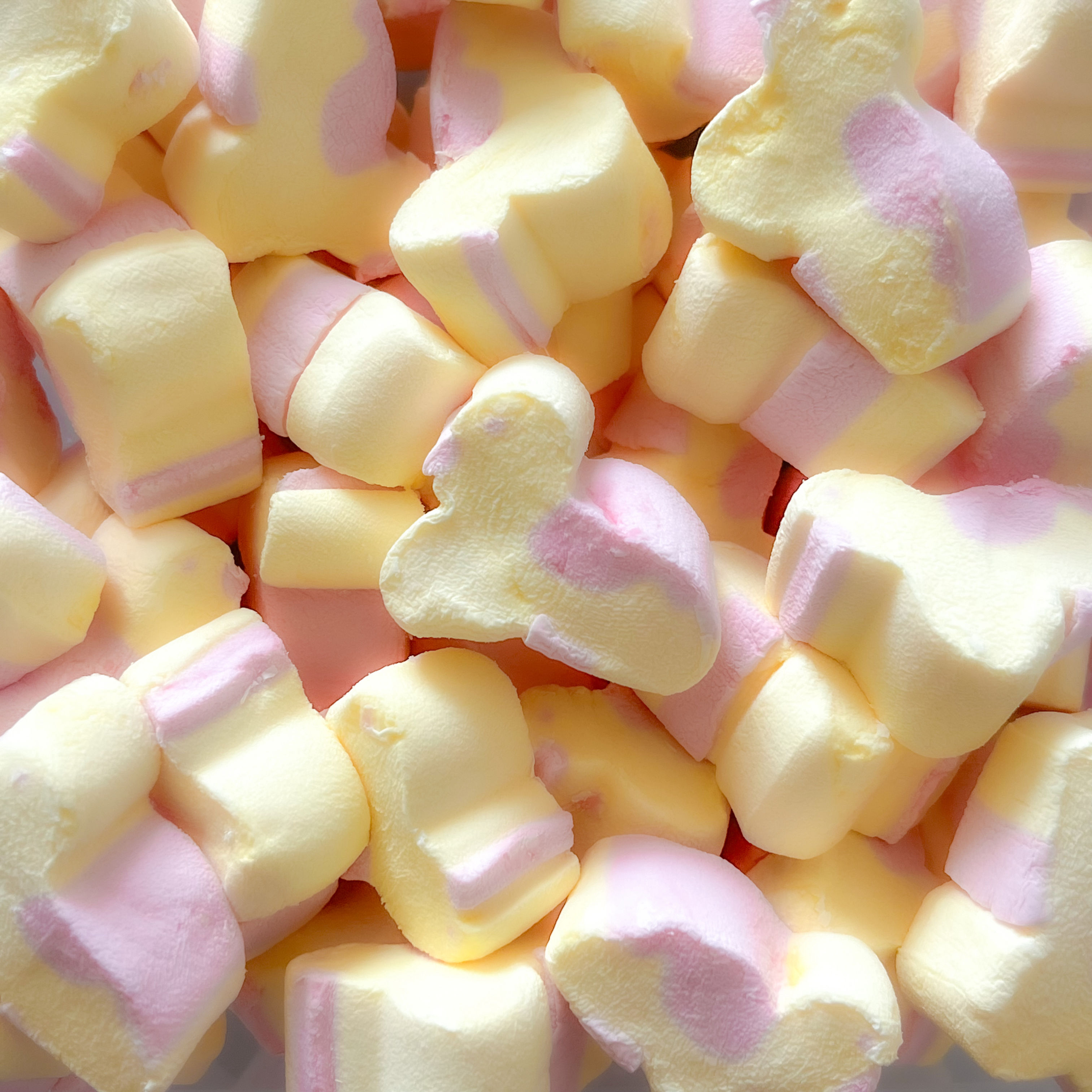 Yellow & Pink Chick Mallows