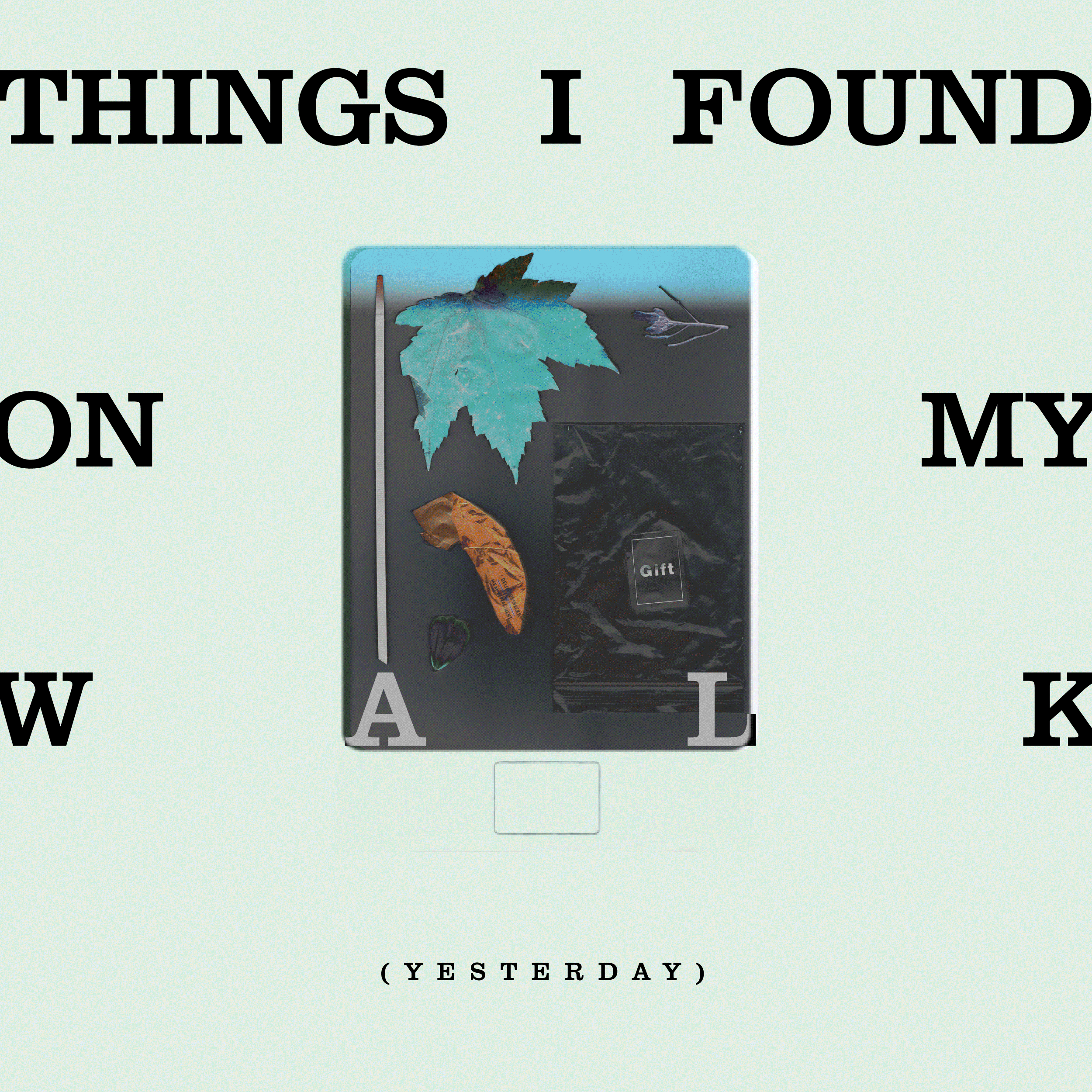 Things I Found Outside GIF