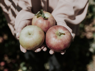 AN APPLE A DAY