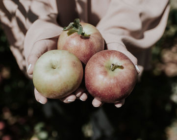 Apples
