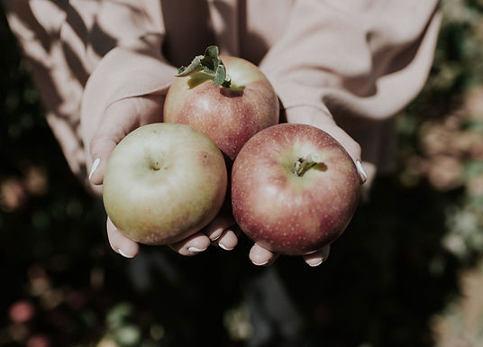 Cider