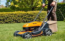 garden maintenance_edited.jpg