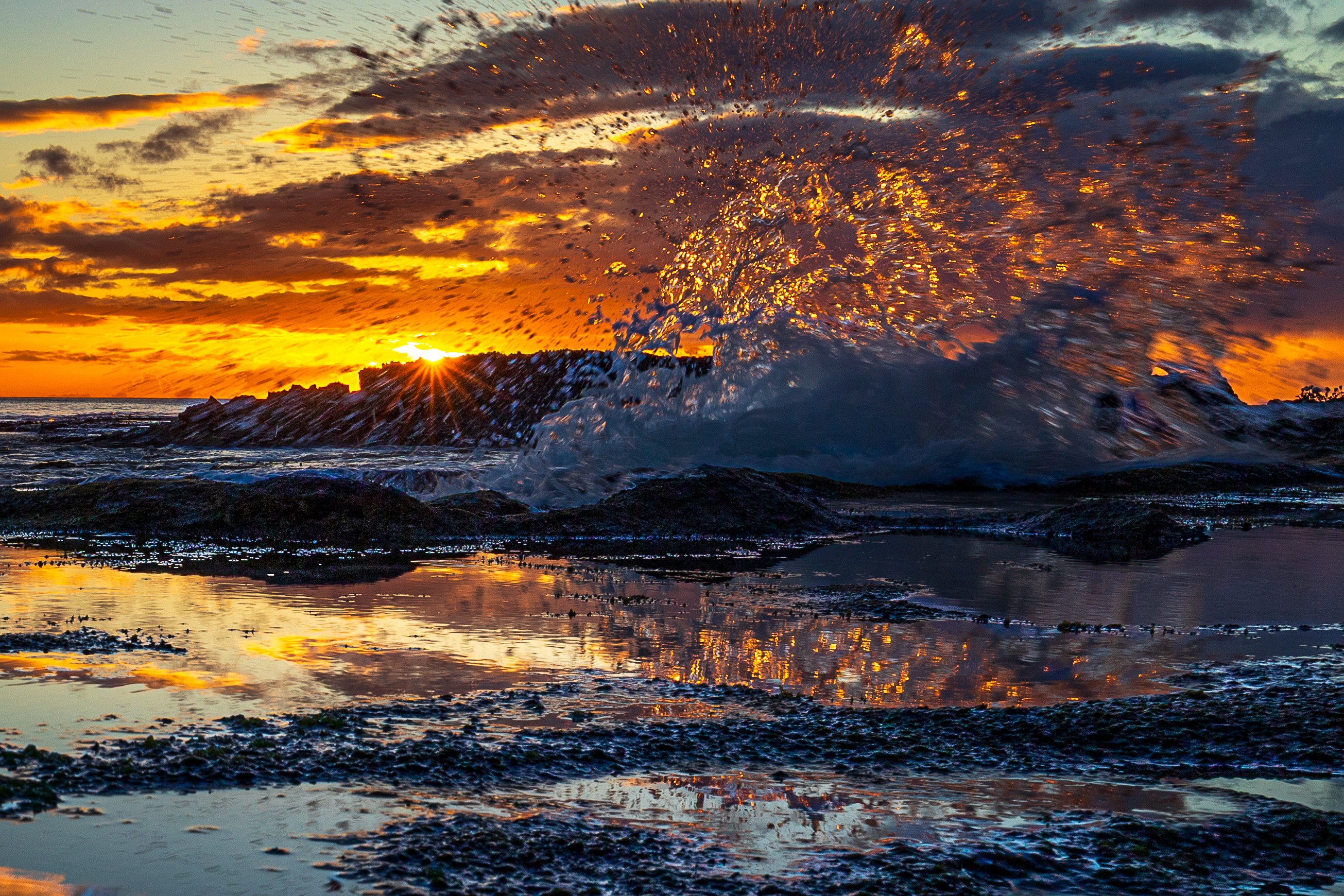 splash