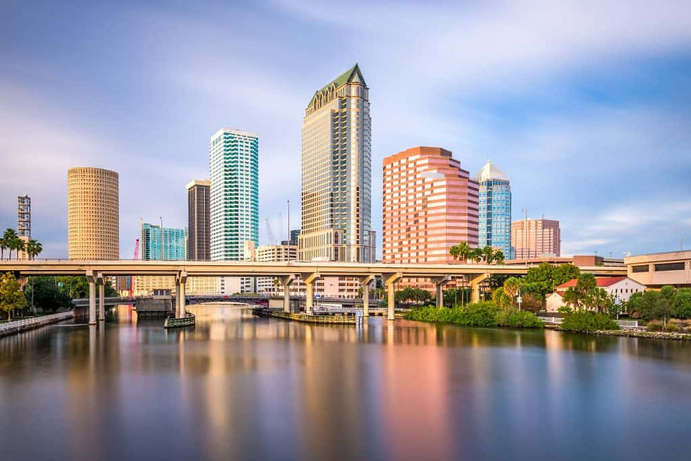 tampa skyline along the river | urbandogrealestate.com