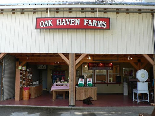 oak-haven-farms-sorrento-florida.jpg