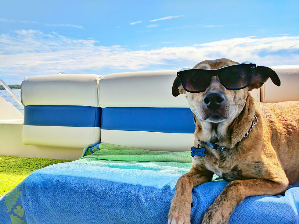 a dog in sunglasses on a boat | urbandogrealestate.com