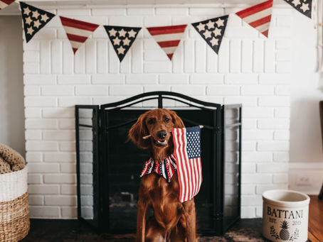 A Safe Summer for Your Pets