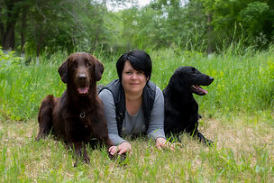 Bersifjor Villarosa, прямошерстный ретривер, flat coated retriever