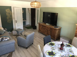 Grand écran plat de 165cm