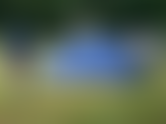 AGRUPAMENT: CAMPAMENTS D'ESTIU 