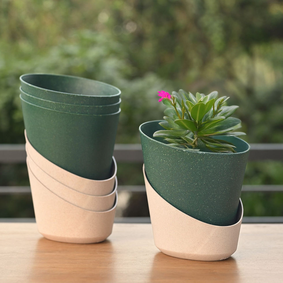 Thumbnail: Ecobloom planter