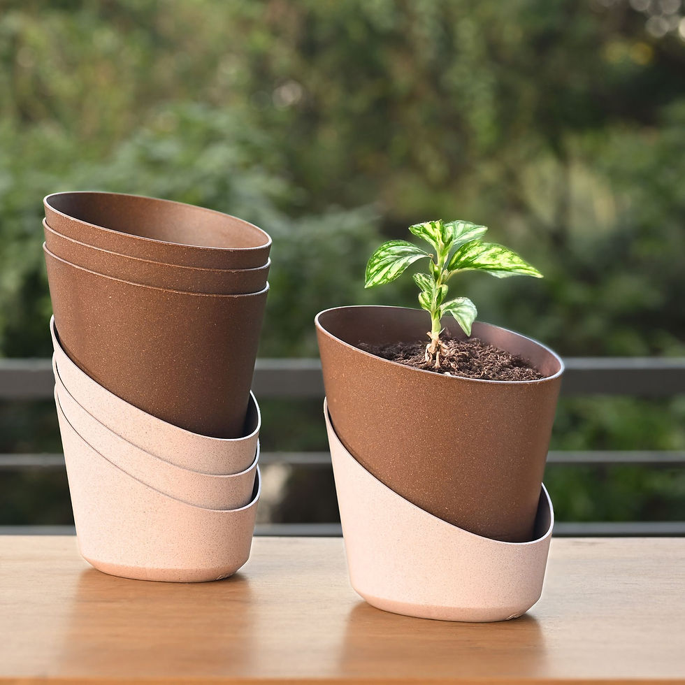 Thumbnail: Ecobloom planter