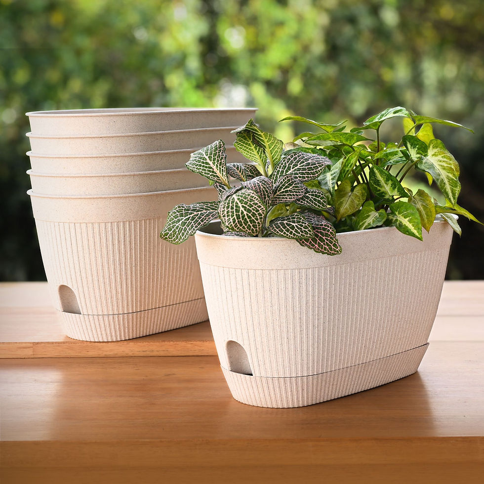 Thumbnail: Eva planter