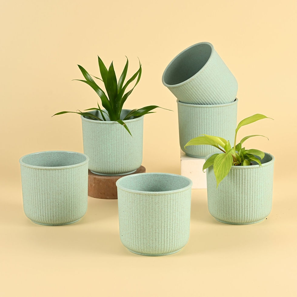 Thumbnail: Linea pots